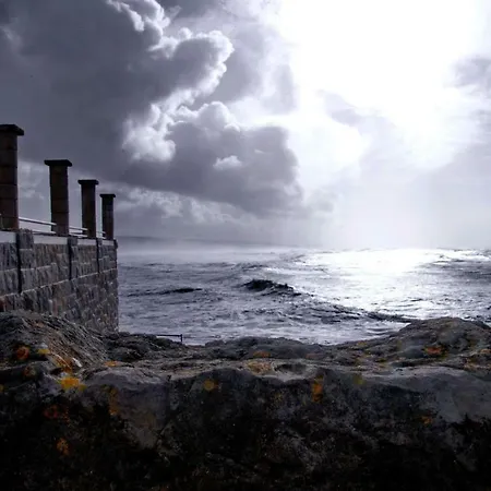 Ciriaco Sea Star * Ericeira