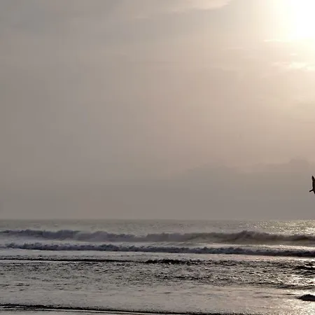 Ciriaco Sea Star Ericeira